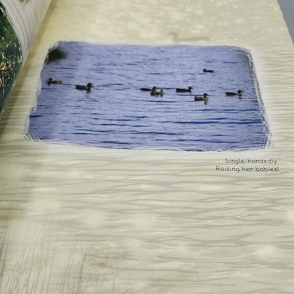 The Noble Wilds by The Supreme Master Ching Hai Paperback - Picture 10 of 15